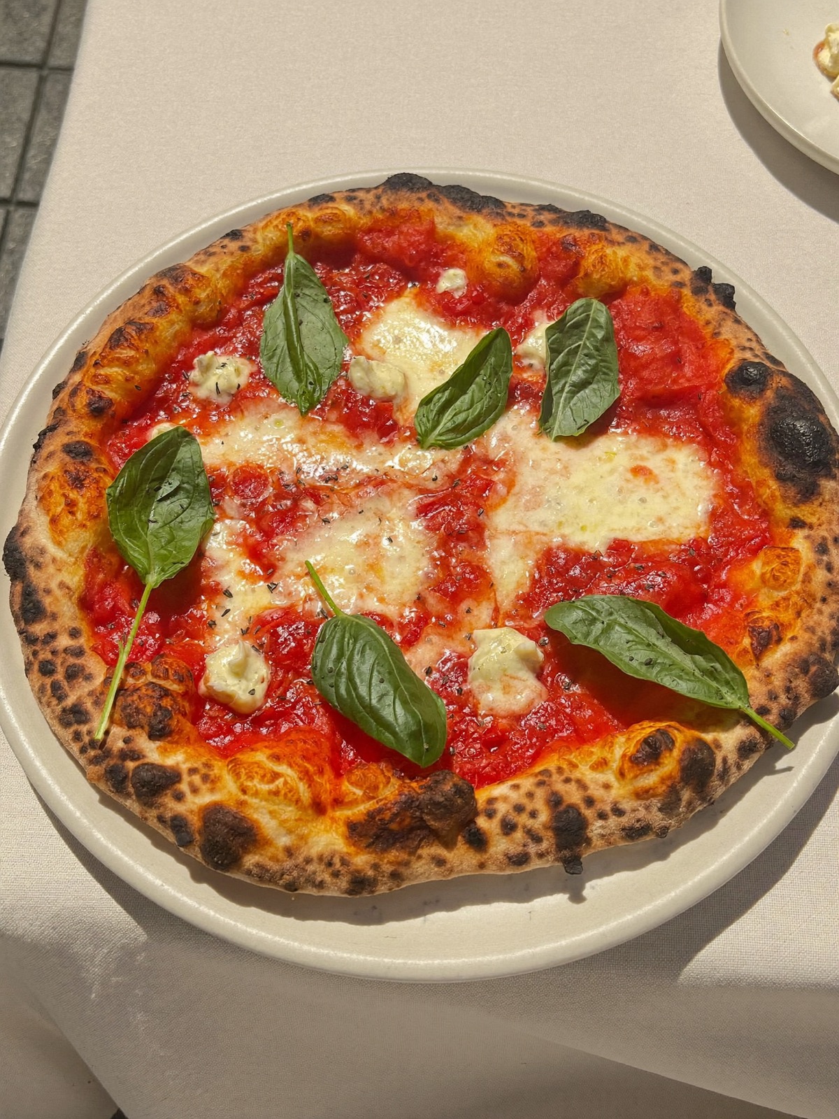 Margherita napolitaine, croûte léopard, basilic frais